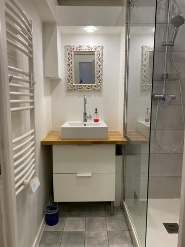 une salle de bain avec un lavabo et une douche dans l'établissement FLC - Charming T1bis 10mn Cours Julien-Nt Dame du Mont, à Marseille