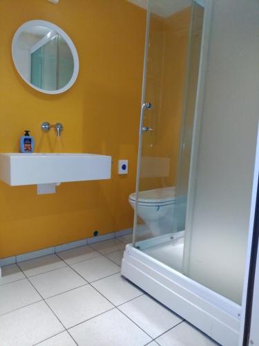 a bathroom with a shower and a sink and a toilet at Sahlihuus Unterkunft in Köniz