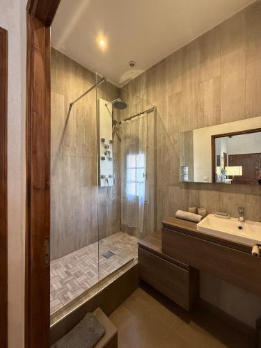 une salle de bain avec douche et lavabo dans l'établissement Bel appartement aixois dans le centre historique, à Aix-en-Provence