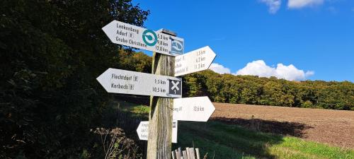 a pole with street signs on it in a field at Sauerland Tinyworld in Diemelsee