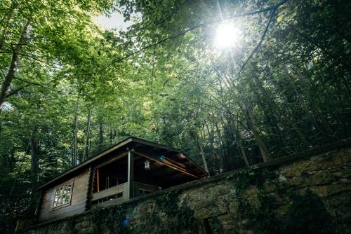 une cabane dans les bois avec le soleil brillant à travers les arbres dans l'établissement Cabane et Lodge by Lyon Country House, à Caluire-et-Cuire