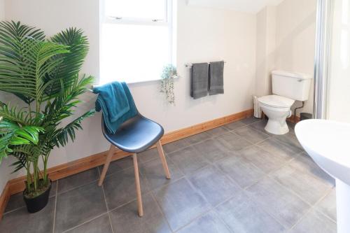 baño con silla, aseo y planta en The Townhouse Ballycastle, en Ballycastle
