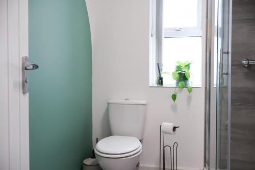 Cosy Flat in Cardiff Near Independent Eateries photo 18