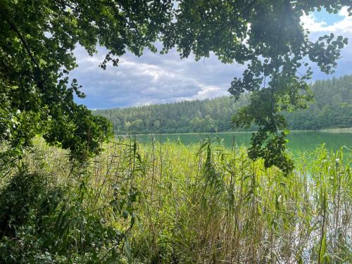 a field of grass with a lake in the background at UTASIÓWKA Mazury in Pasym