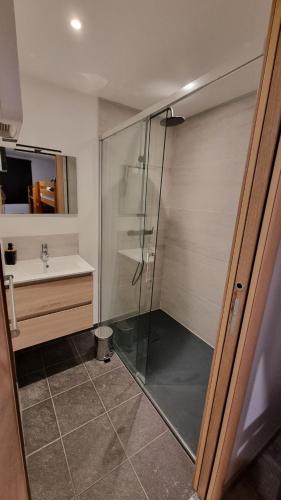 une salle de bain avec douche et lavabo dans l'établissement Grand appartement Isola 2000, à Isola 2000