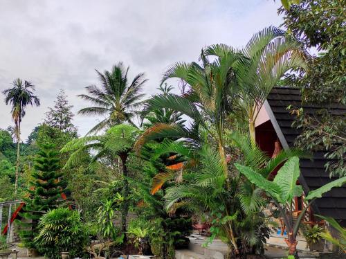 Giardino di Goa Walet Cottage