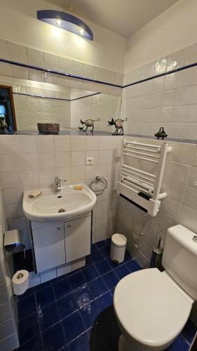 une salle de bain avec des toilettes blanches et un lavabo dans l'établissement Mazet (maisonnette provençale), à Saint-Cézaire-sur-Siagne