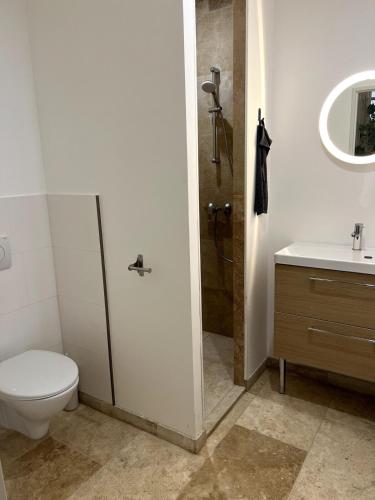 une salle de bain avec toilettes, lavabo et douche dans l'établissement Duplex des bords de l Eure, à Courville-sur-Eure