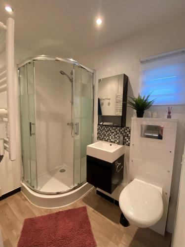 une salle de bain avec une douche, des toilettes et un lavabo dans l'établissement L entre deux, à Sangatte