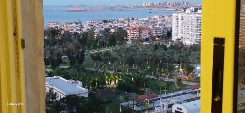 شقه فندقيه أمام قصر المنتزة