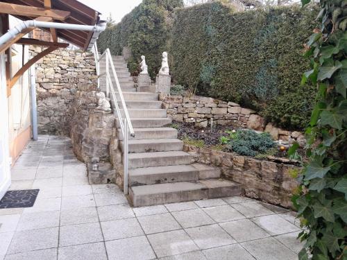 Taman di luar Ferienwohnung Marion Franke