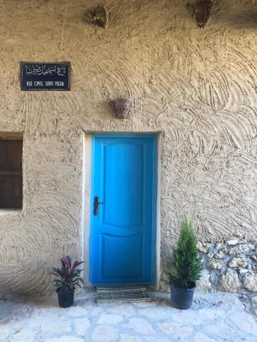 a blue door on the side of a building with two plants at Eeri Siwa Oasis in siwa oasis