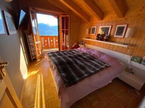 Beautiful chalet with exceptional view