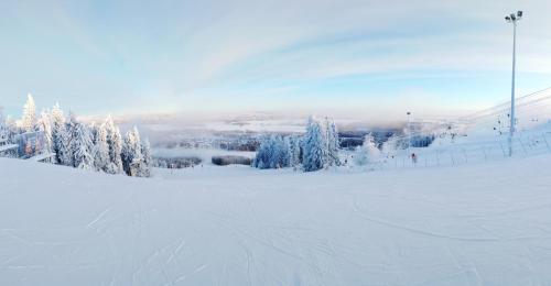 Afbeelding uit fotogalerij van Talvitahko 4 in Tahkovuori