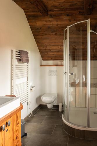 a bathroom with a toilet and a glass shower at st martin chalets in Sankt Michael im Lungau