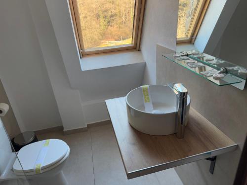 a bathroom with a sink and a toilet at Pension Casa Vanatorilor in Băile Olăneşti
