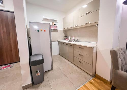 Kuhinja ili čajna kuhinja u objektu Apartman Royal 2