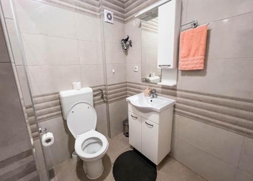 Koupelna v ubytování Apartman Royal 2