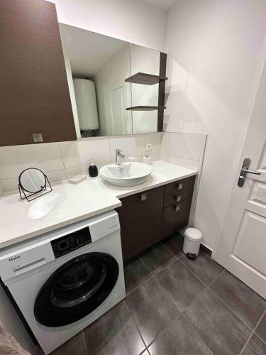 une machine à laver dans une salle de bain avec un lavabo dans l'établissement Bel appart, le petit Carnot, à Annecy