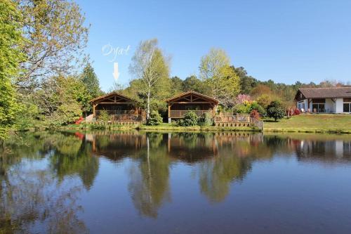 Wooden lodge with garden