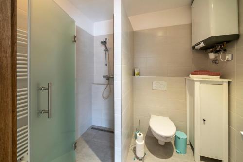 Apartmány Pod náměstím 2にあるバスルーム
