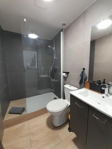 une salle de bain avec une douche, des toilettes et un lavabo dans l'établissement Ravissant appart' central, à Châteauroux