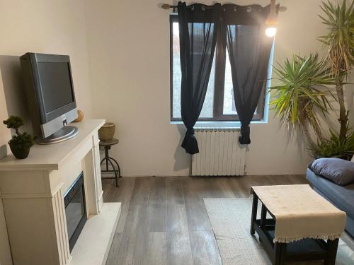  Il comprend un salon doté d'une cheminée et d'une télévision. dans l'établissement T2 dans Villa à Sorgues, à Sorgues