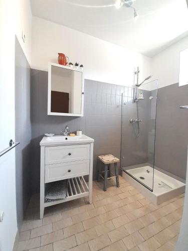une salle de bain avec un lavabo et une douche dans l'établissement Villa coco 9 personnes jardin proche Beauval, à Lye