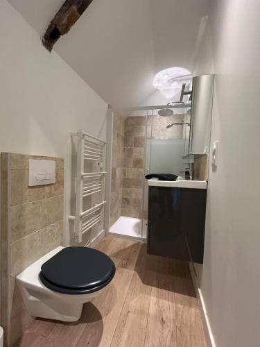 La salle de bains est pourvue de toilettes noires et d'un lavabo. dans l'établissement Cocon Bohème - Charme et Elégance au port, à Plérin