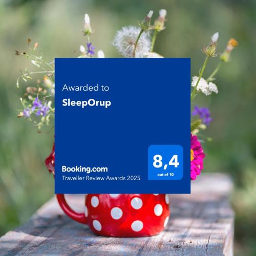 a blue card on a red vase with flowers at SleepOrup in Faxe