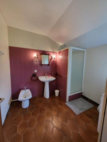 une salle de bain avec un lavabo et des toilettes dans l'établissement Chez Léontine maison 11 pers-5 chb-jardin-wifi, à Le Lys-Saint-Georges
