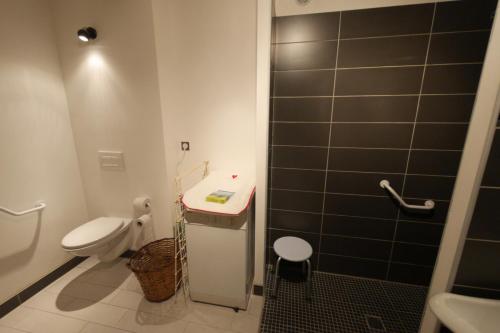 a small bathroom with a toilet and a sink at Maison d'Hôtes des 2 Chênes in Bessenay