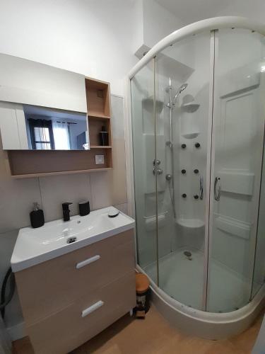une salle de bain avec douche et lavabo dans l'établissement Bel Appart centre ville jardin, à Châteauroux