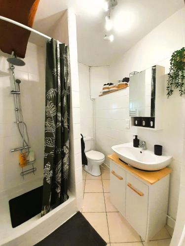 une salle de bain avec un lavabo et des toilettes dans l'établissement Maison coquette 2 chambres jardin, à Reuilly
