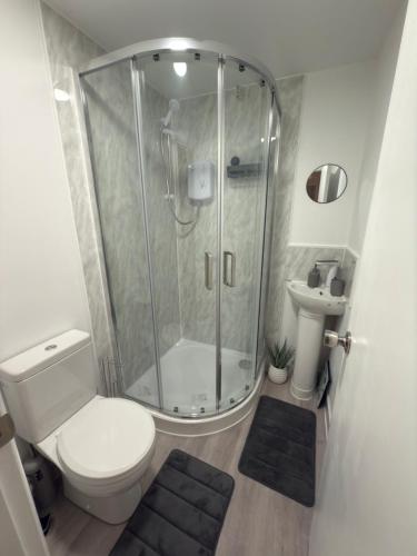 a bathroom with a shower and a toilet and a sink at Crown's Court in Orpington