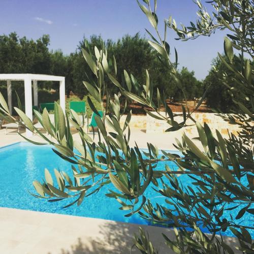 Trullo Amato with exclusive pool