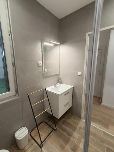 une salle de bain avec un lavabo et des toilettes dans l'établissement Garnavie - Centre ville - Les Halles, à Lourdes