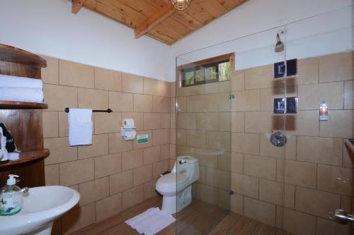 a bathroom with a toilet and a sink at Las Marias Monteverde - Mountain View Cottages & Gardens in Monteverde Costa Rica