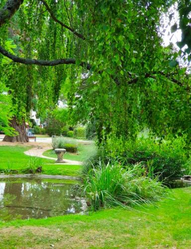 a park with a pond and a tree at la maisonnette d'Epernay in Épernay