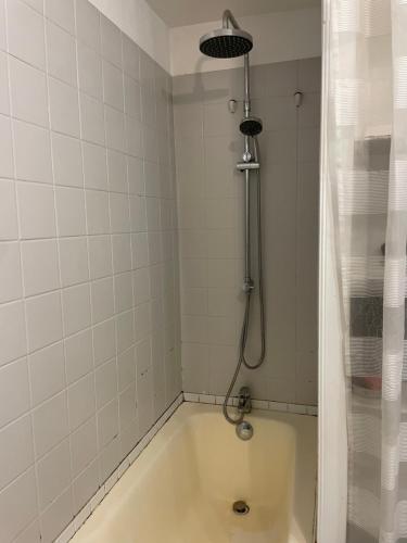 a bath tub with a shower in a bathroom at la maisonnette d'Epernay in Épernay