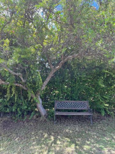a park bench sitting under a tree in a park at Parcela Paulita in Quillón