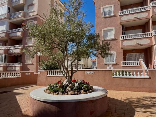 Oasis De Luz