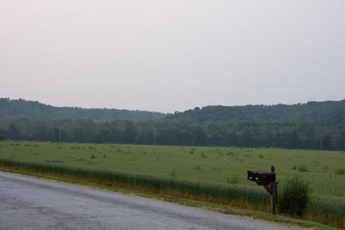 a road next to a field of grass with a mailbox at Haven on 41 in Warsaw