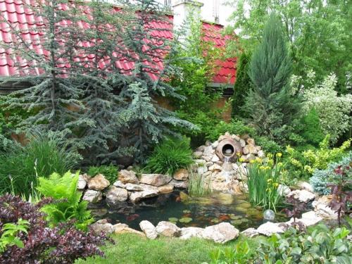 a garden with a pond in front of a building at Hotel Oasis in Braşov