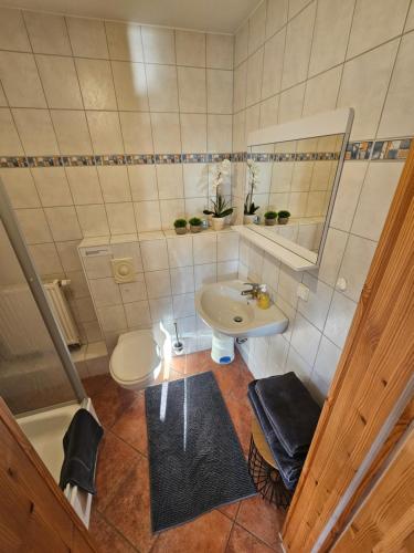 a bathroom with a sink and a toilet and a mirror at Kapitänshaus - Terrassenstube in Barth