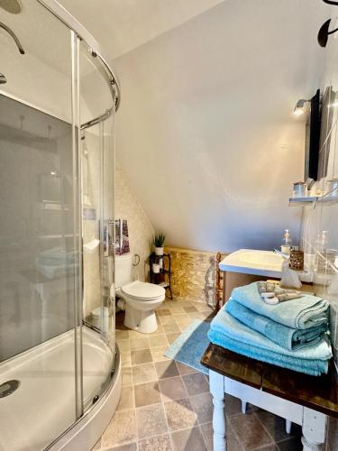 une salle de bain avec une douche, des toilettes et un lavabo dans l'établissement Domaine de Loupiac, à Loupiac