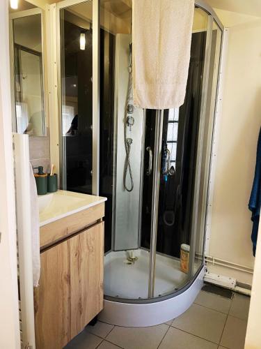 une salle de bain avec douche à l'italienne dans l'établissement Appartement Lumières, à Pontault-Combault