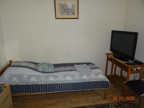 a bedroom with a bed and a television on a table at Pokoje do wynajęcia w centrum Białegostoku in Białystok