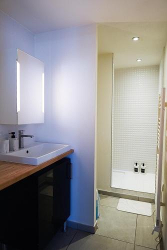 une salle de bain avec un lavabo et une douche avec un miroir dans l'établissement Studio Hypercentre, proche gare et métro, à Toulouse