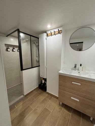 une salle de bain avec un lavabo, un miroir et une douche dans l'établissement Appartement cosy centre historique Avignon, à Avignon